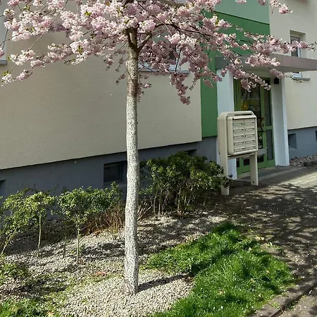 Apartment Schoene Kleine Cottbus